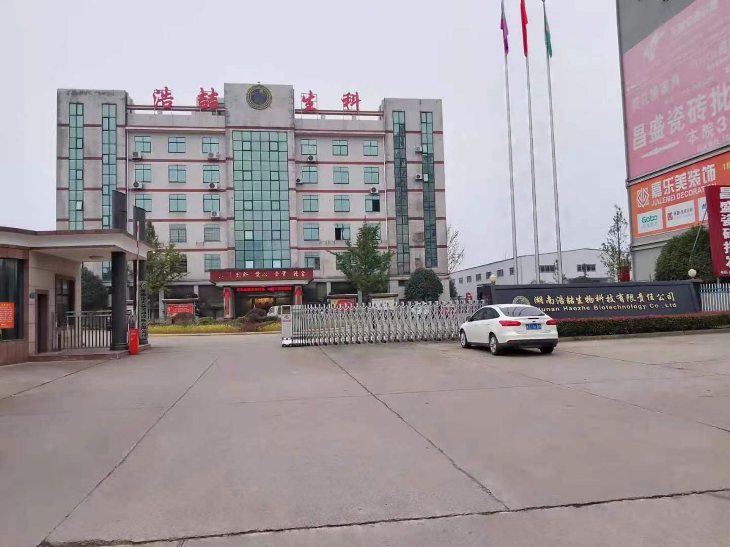 湖南浩喆农业科技有限责任公司,常德紫苏,常德植物黄金油,常德植物黄金油,常德紫苏油,紫苏